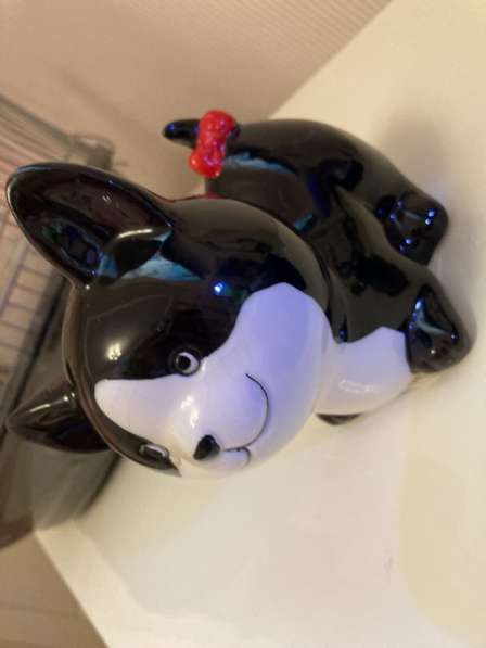 Очень крутой котик в Омске