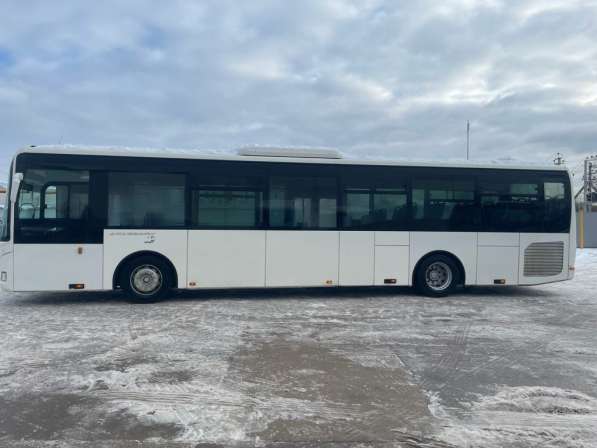 Автобус IVECO Crossway Междугородний / Пригородный в Щелково фото 5