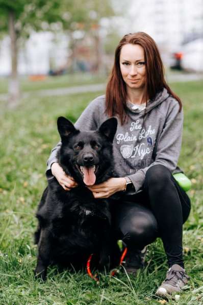 Чак - идеальная собака для любой семьи! в Москве фото 5