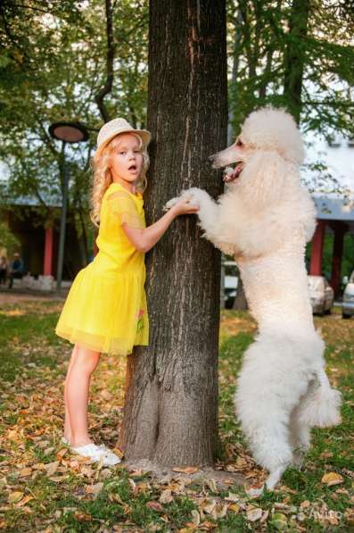 Новогодняя и Рождественская фотосессия с реквизитом в Москве фото 13