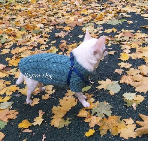 Свитера для собак ручной работы в Москве фото 33