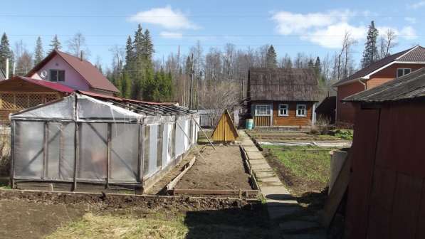 Продам дачу на Свинокомплексе в Перми фото 11