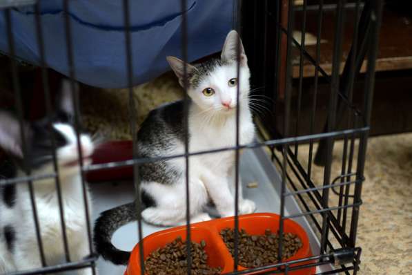 Нежная Мэрри ищет любящего друга в Москве