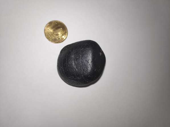 火星陨石 Martian Meteorite Achondrite в 