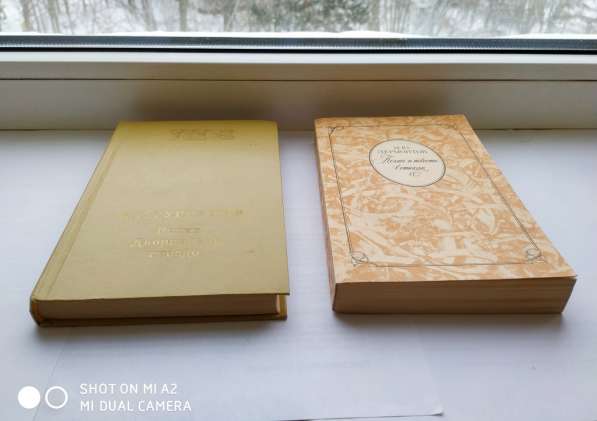 Классическая русская литература в Тюмени фото 6