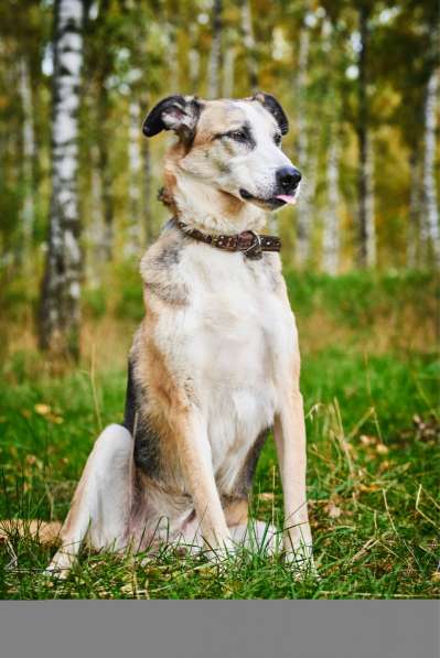 Молодой энергичный Майор ищет семью в Москве фото 19