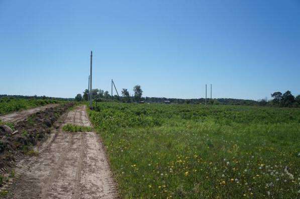 Участок в Ногинске фото 4