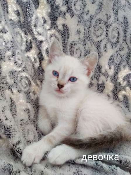 ЛУГАНСК, ВНИМАНИЕ!!! в фото 4