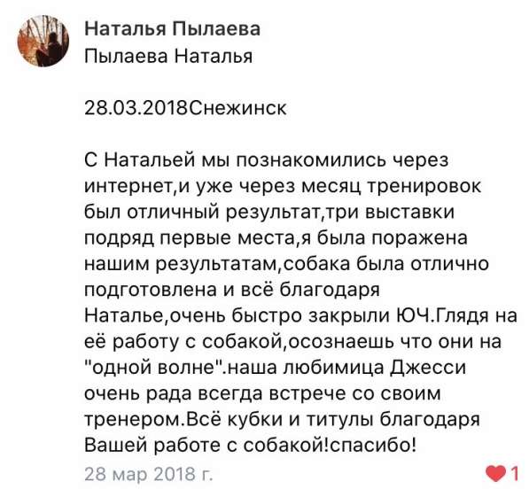 Подготовка к выставкам Дрессировка в Екатеринбурге фото 3