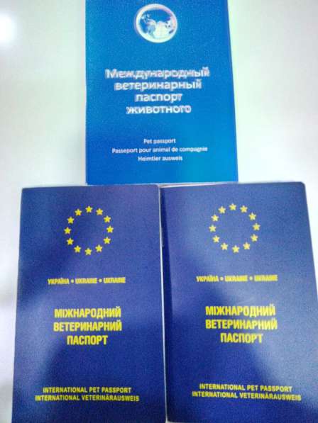 Перевозка животных в 