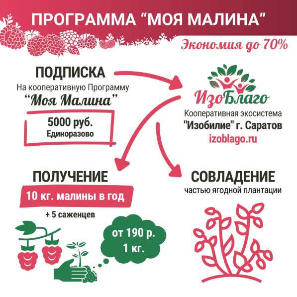 Кооперативные эко-продукты от производителей