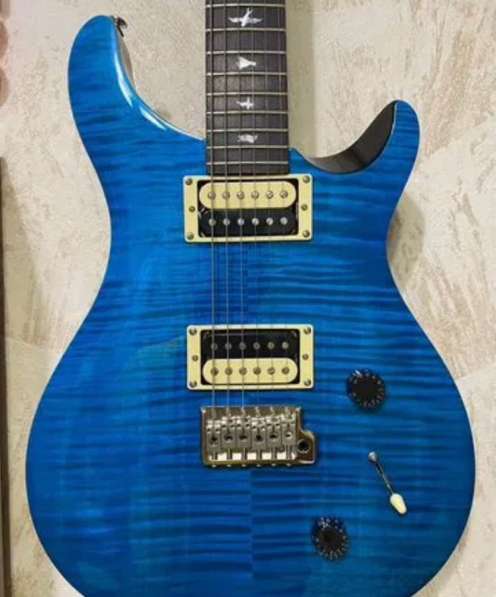 PRS SE Custom