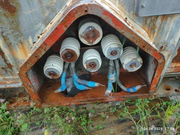 Генератор синхронный СГС-14–100-6У2 в Ванино фото 3