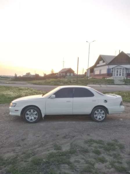 В разбор в Зиме