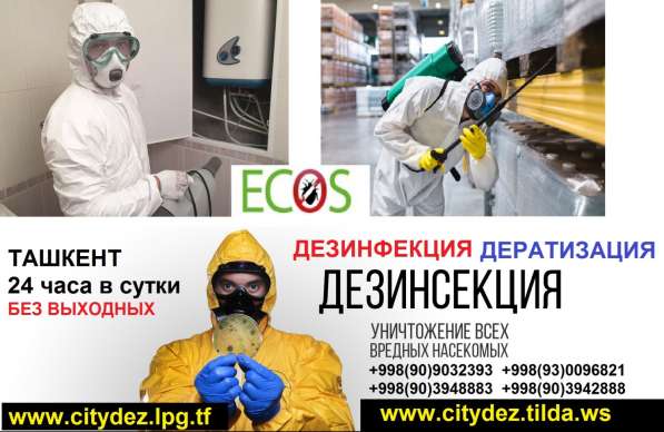 Обработка в Ташкенте от клопов, тараканов, блох, крыс в фото 4