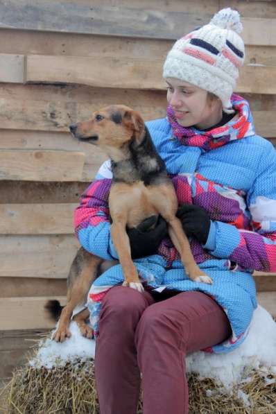 Малышка Зара — маленькая собачка ищет дом в Москве