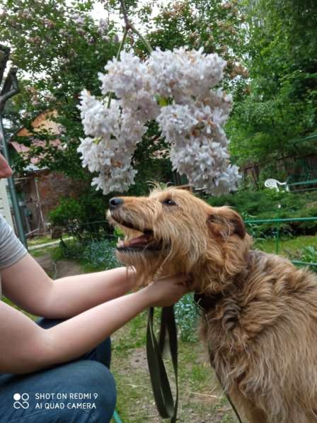 Мухтар ищет семью в Москве фото 19