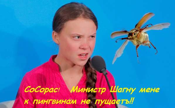 Модернизация ТОП управления Диверсификация в Туле фото 3