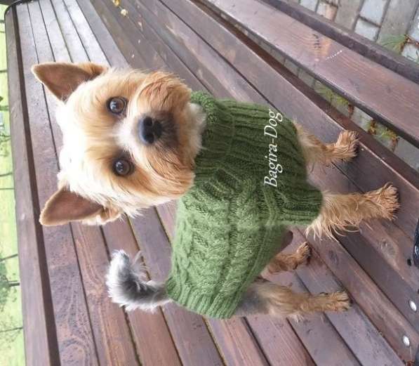 Свитера для собак ручной работы в Москве фото 29