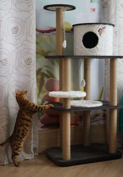 Домик для кошек с гамаком