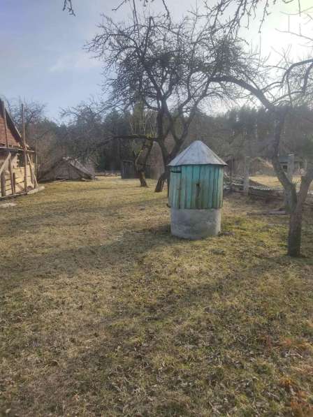 Дом в Беловежской пуще в фото 4
