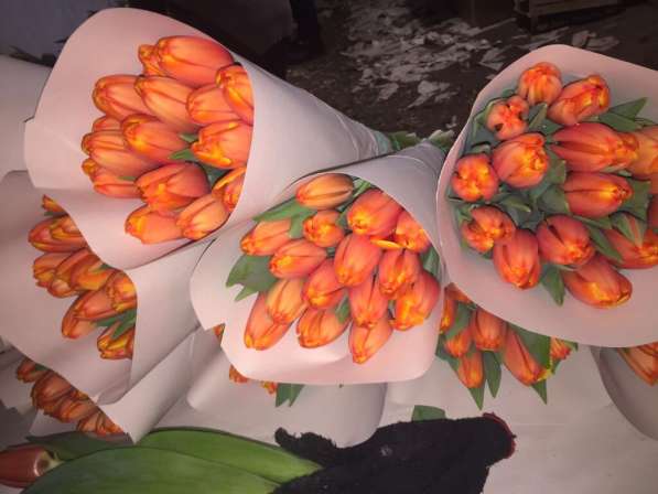 Тюльпаны оптом к 8 марта в Москве фото 5