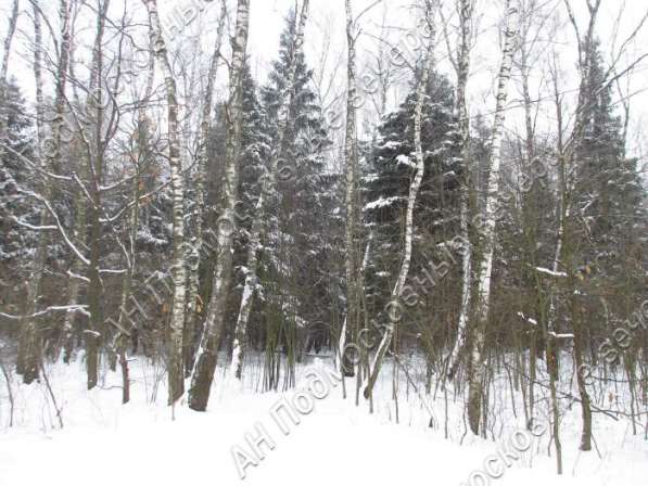 realty_mapper3.plot_in_locationСадовое некоммерческое тов-во. Есть Электричество, Газ. в Москве фото 4