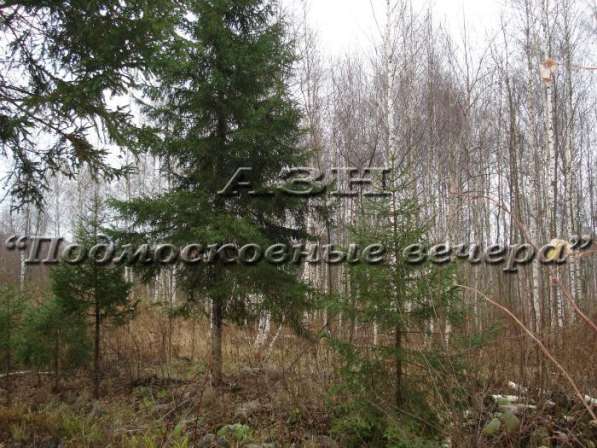 realty_mapper3.plot_in_locationСадовое некоммерческое тов-во. Площадь 7.50 сот.Есть Электричество.