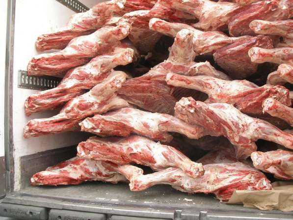 Мясо говядины и свинины оптом