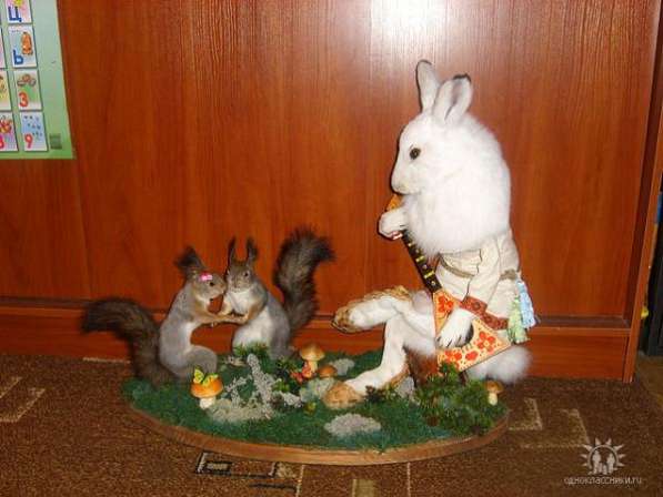 Изготовление чучел животных на заказ (таксидермия) в Москве фото 4