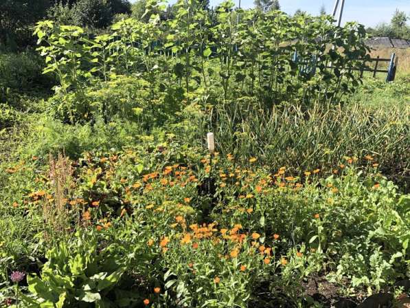 Двухкомнатная квартира в селе Берендеево в Переславле-Залесском фото 17