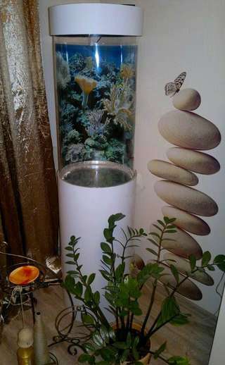 Комплексный аквариум 130 л Marvelous в Нижневартовске фото 3