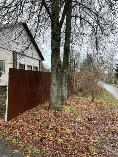 Дрова в Москве