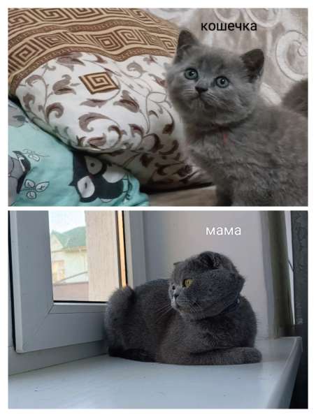 Продаётся