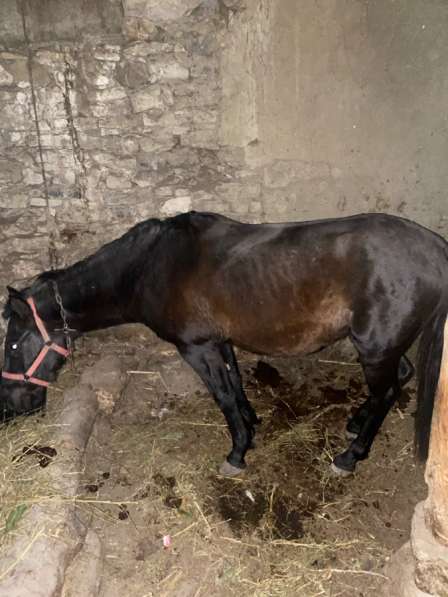 Ассаламу алейкум