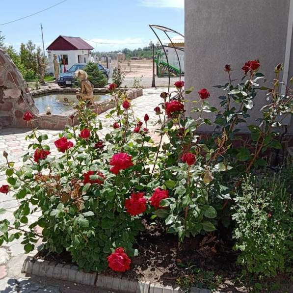Отдых на Иссык Куле. Пансионат «Островок» Бостери в фото 9