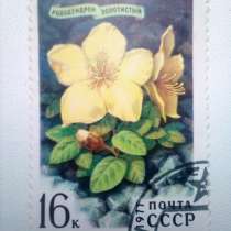Марка 16к 1977 год СССР Рододендрон Золотистый, в Москве