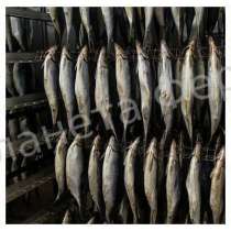 Продажа вяленой рыбы, в Москве