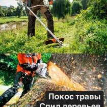 Покос травы, спил деревьев, в Георгиевске