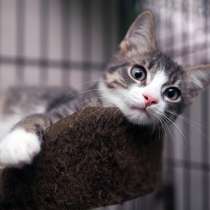 Тэкито готов наполнить вашу жизнь весельем, в Москве