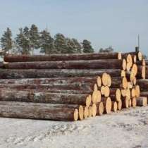 Реализуем Сибирскую лиственницу кругляк, в Москве