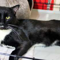 Обольстительный Лавр снова в поисках друга, в Москве