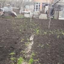 Вспашка земли мотоблоком, покос травы, в Таганроге