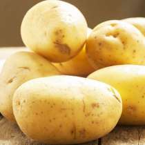 11 сортов картофеля от одного поставщика оптом, в Барнауле
