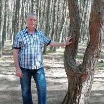 Владимир, 57 лет, хочет познакомиться – Познакомлюсь с девушкой, в Калининграде