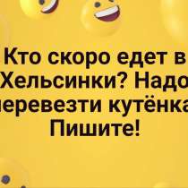 Кто сможет перевезти щенка, в Москве