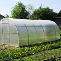 Теплица в Коломне, в Коломне