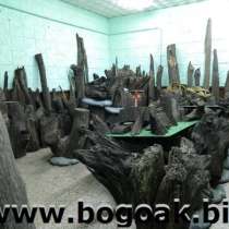 Мореный дуб(Bog Oak), в Москве