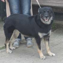 Ласкуша Алиса живет и надеется найти свою родную семью, в Москве