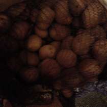 Мелкий картофель, в Великом Новгороде
